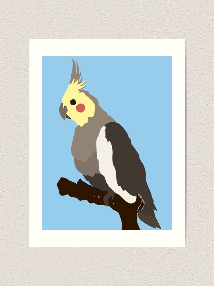 yellow faced cockatiel