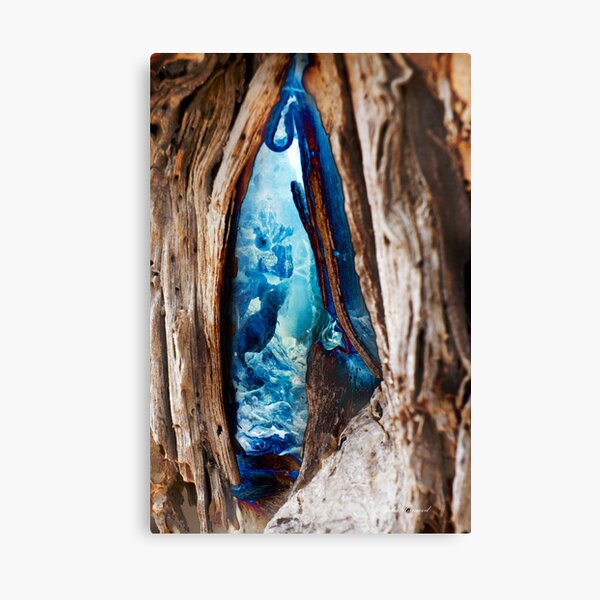 Looking Within Canvas Print