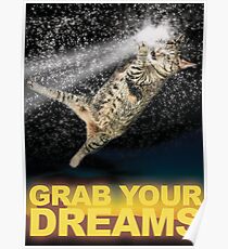 Grab Your Dreams! Poster