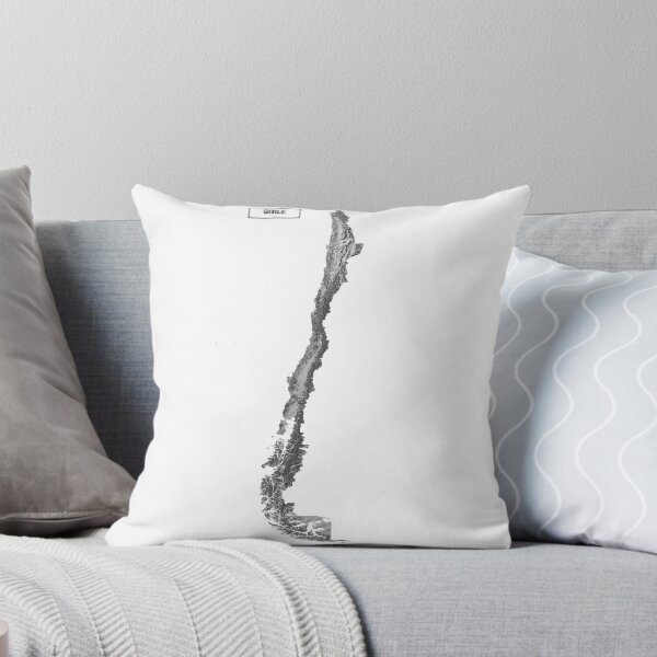 Item preview, Relief Map of Chile designed and sold by ThinkAboutMaps.