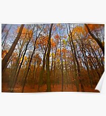 Autumn - My wonderful Galicia by Andrzej Goszcz. Featured 5 star Excellence Valerie Anne Kelly. Poster