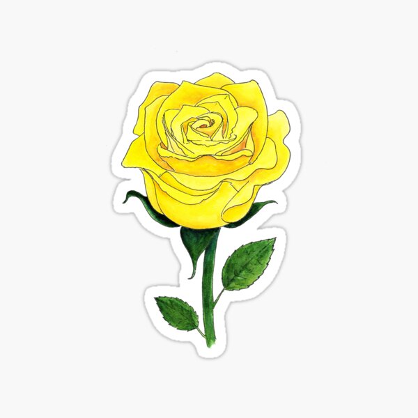 Yellow Rose Of Texas Stickers for Sale  Redbubble