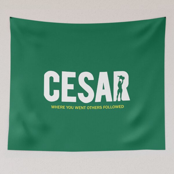Item preview, Celtic family unites in support of Cesar t-shirt for charity designed and sold by Nouni-abdo.