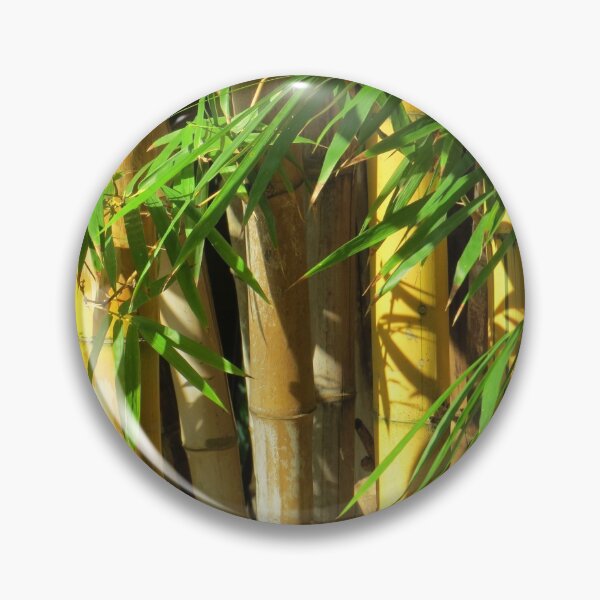 Item preview, Bamboo designed and sold by Genevieve Hanlon Art and Photography.