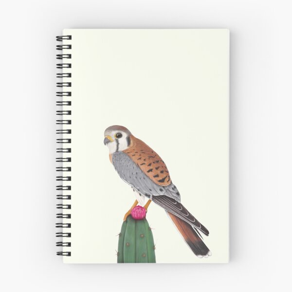 Item preview, Kestrel designed and sold by Ash-Lauren.