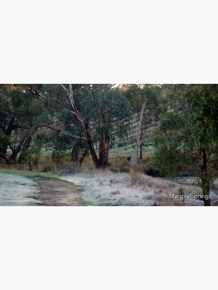 Thumbnail 3 of 3, Sticker, Frosty Morning - Adelaide Hills - Fleurieu Peninsula by South Australian artist Avril Thomas designed and sold by MagpieSprings.