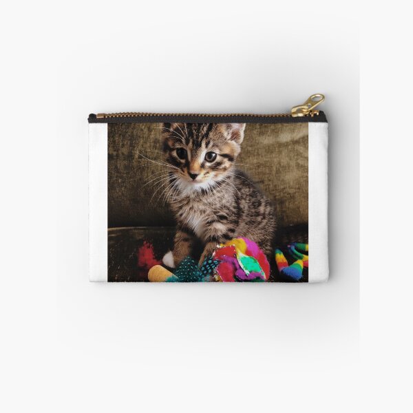 Item preview, Kitten photography designed and sold by bearjordan.