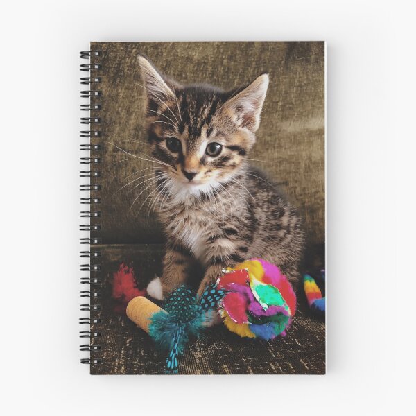 Item preview, Kitten photography designed and sold by bearjordan.