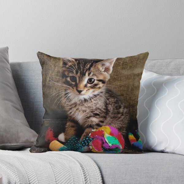 Item preview, Kitten photography designed and sold by bearjordan.