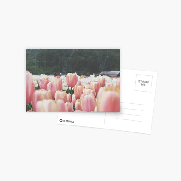 Item preview, tulip photography designed and sold by bearjordan.
