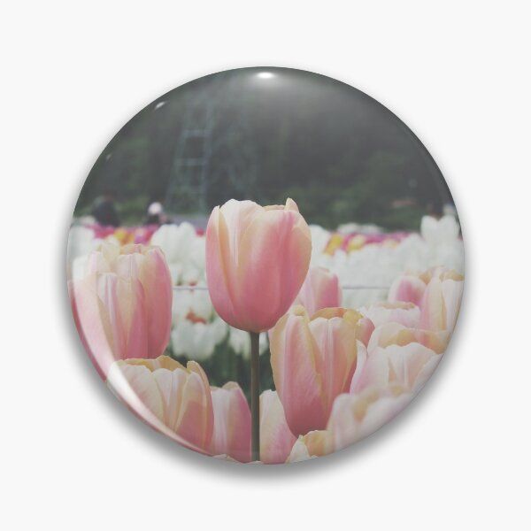 Aperçu de l'œuvre photographie de tulipes créée et vendue par bearjordan.