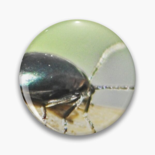 Item preview, ©NS Beetle In Balance ONFX. designed and sold by OmarHernandez.