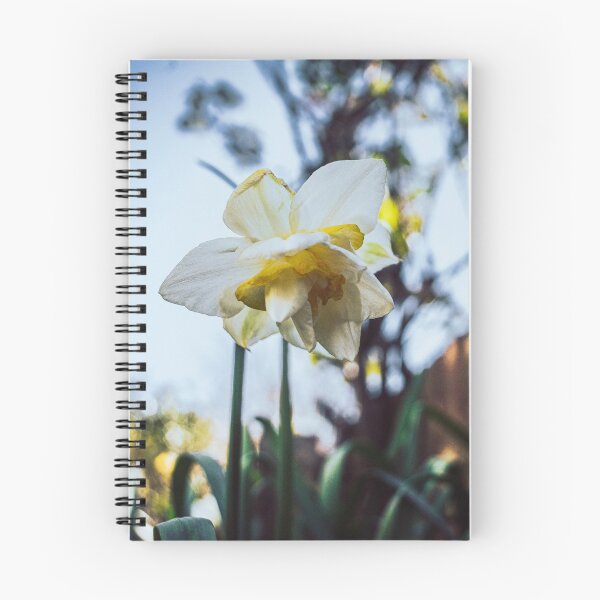 Item preview, Astute Flower designed and sold by Olympia Ellinas.
