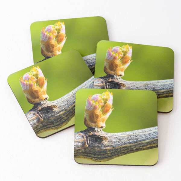 Item preview, Grapevine Budbreak Vineyard designed and sold by Kevin Miller Photography.