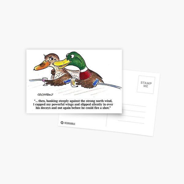 Cartoon: Mallards in bar Postcard