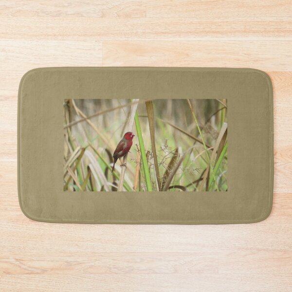 Item preview, Crimson Finch designed and sold by Genevieve Hanlon Art and Photography.