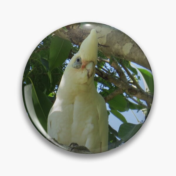 Item preview, Little Corellas designed and sold by Genevieve Hanlon Art and Photography.