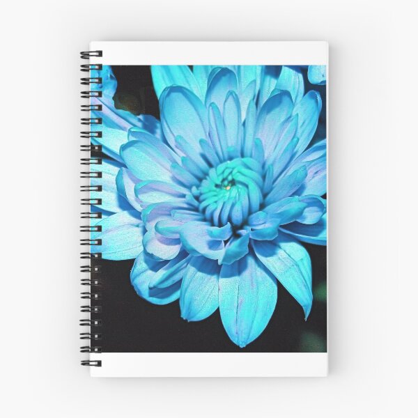 Item preview, BLUISH designed and sold by BOLLA67.