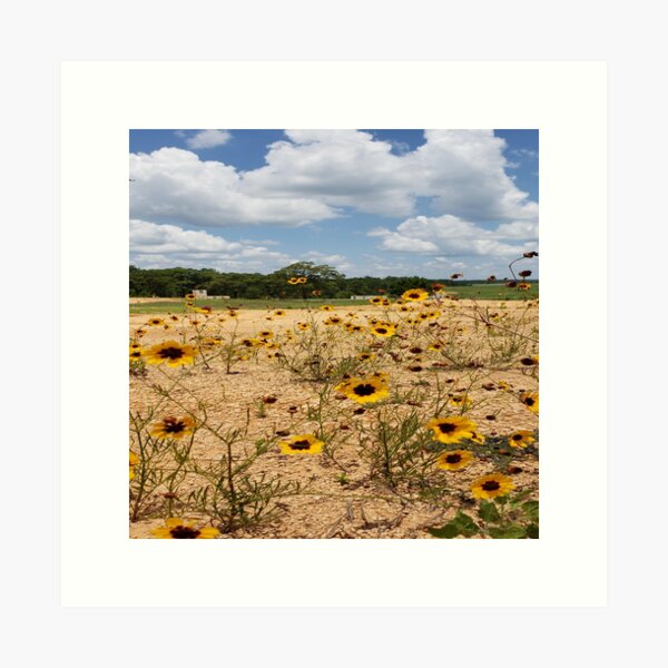 Item preview, Yellow wildflowers in Fort Polk designed and sold by SanTrix.