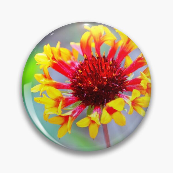 Item preview, Time To Shine Coneflower designed and sold by Cynthia48.