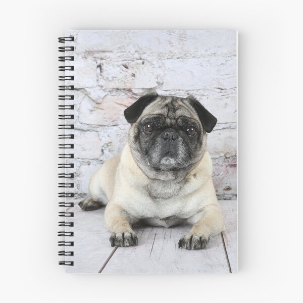 Item preview, Sweet Pug laying on the floor. designed and sold by mlorenz.