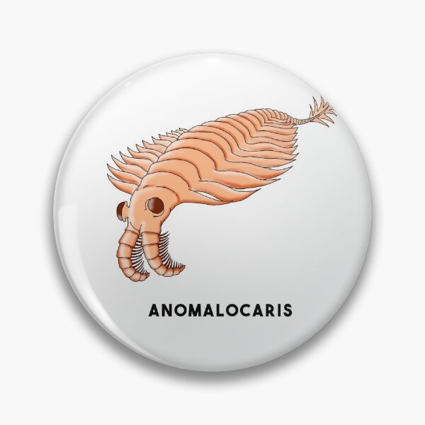 Item preview, Anomalocaris designed and sold by lucamendieta.