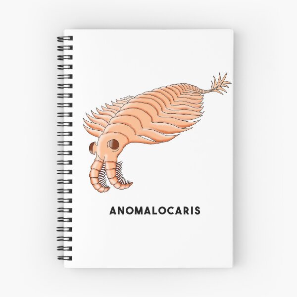 Item preview, Anomalocaris designed and sold by lucamendieta.