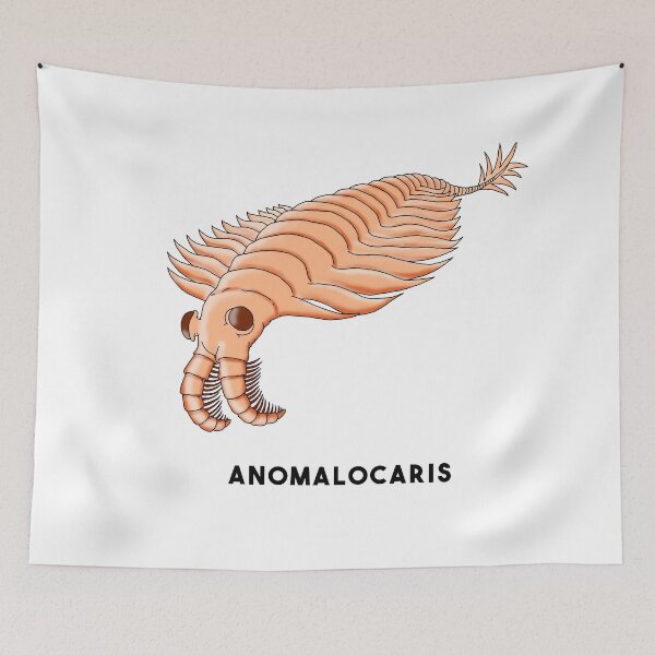 Item preview, Anomalocaris designed and sold by lucamendieta.
