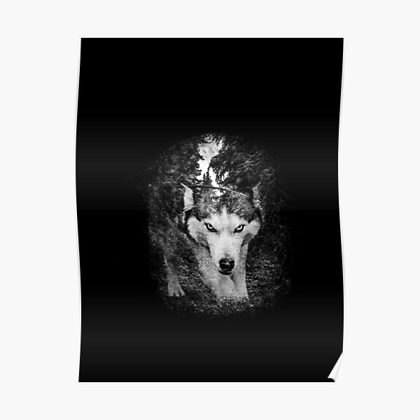Haus & Garten Black Wolf & White Wolf Framed Print Picture Poster Abstract Hunting Animal Dekoration LA2607194 Haus & Garten Black Wolf & White Wolf Framed Print Picture Poster Abstract Hunting Animal Dekoration LA2607194
