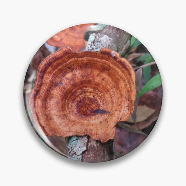 Item preview, Wild Fungi designed and sold by Genevieve Hanlon Art and Photography.