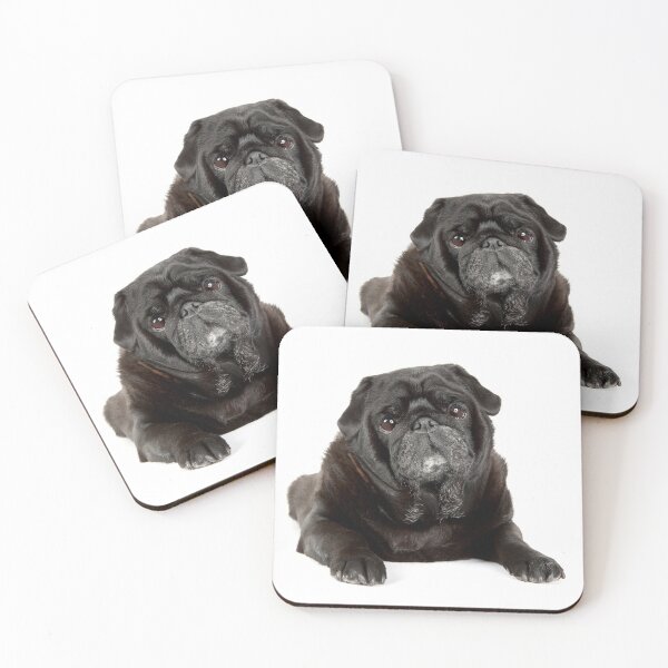 Item preview, Black Pug on a white background. designed and sold by mlorenz.