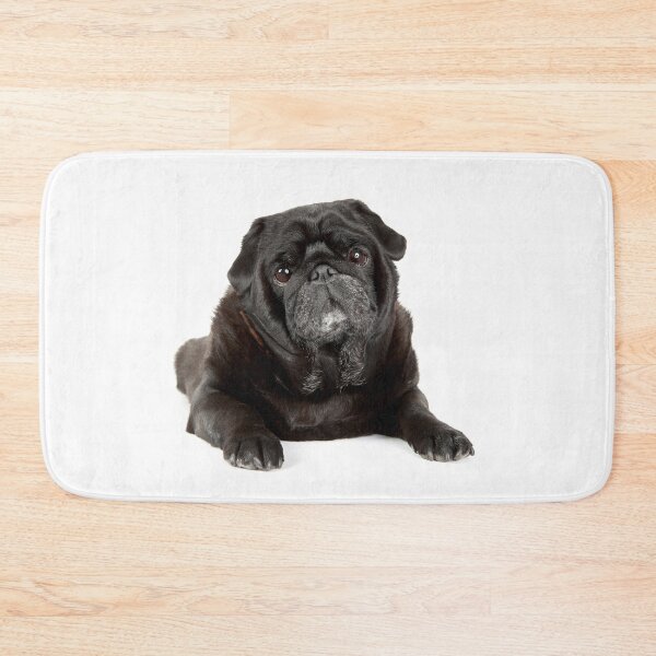 Item preview, Black Pug on a white background. designed and sold by mlorenz.
