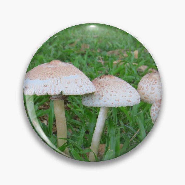 Item preview, Four Little Toadstools.  designed and sold by Genevieve Hanlon Art and Photography.