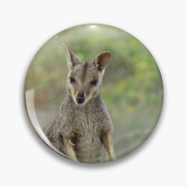 Item preview, Rock Wallaby designed and sold by Genevieve Hanlon Art and Photography.