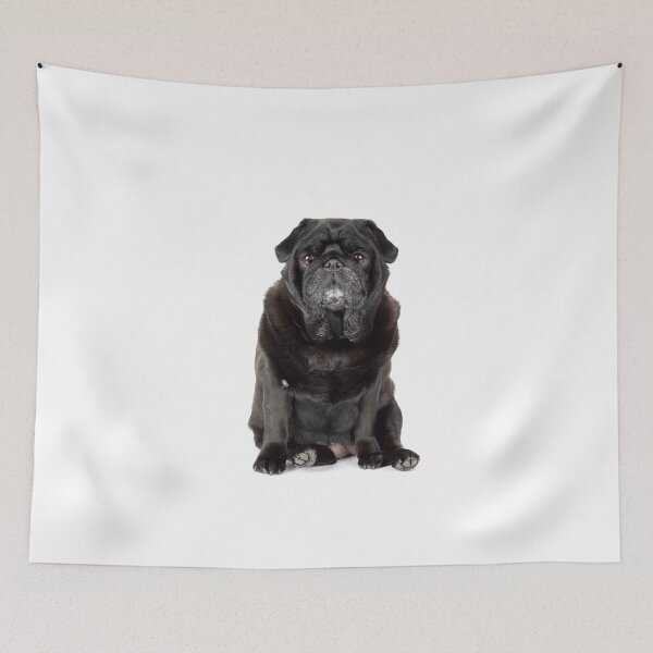Item preview, Black Pug designed and sold by mlorenz.