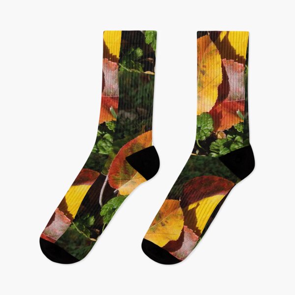 Item preview, Fall colors designed and sold by Jmcguirt.