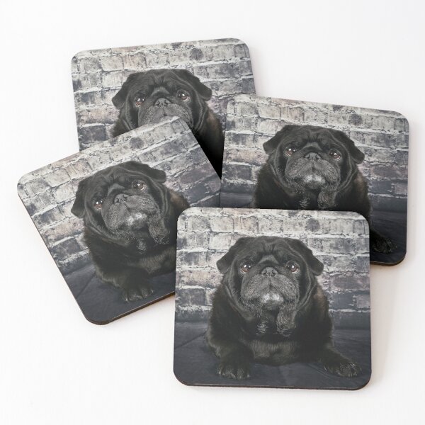 Item preview, Black Pug against a brick wall. designed and sold by mlorenz.