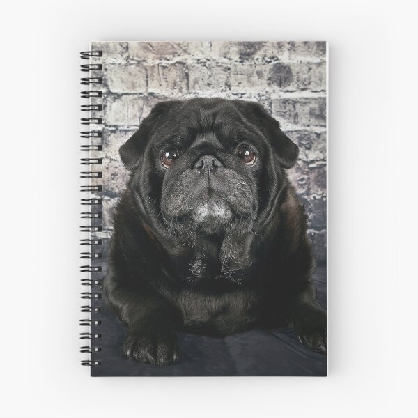 Item preview, Black Pug against a brick wall. designed and sold by mlorenz.