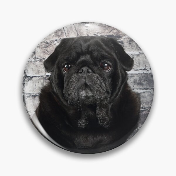 Item preview, Black Pug against a dark brick wall. designed and sold by mlorenz.