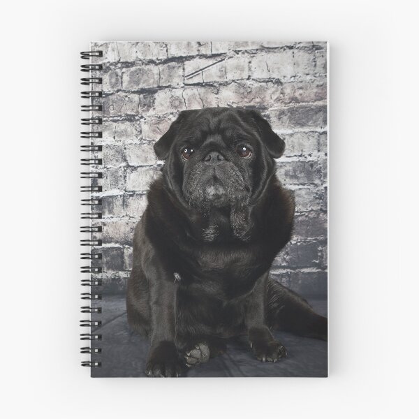 Item preview, Black Pug against a dark brick wall. designed and sold by mlorenz.