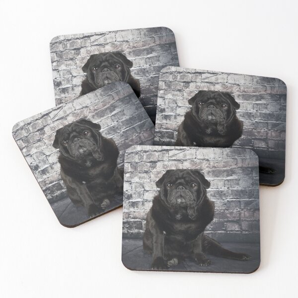 Item preview, Black Pug against a dark brick wall. designed and sold by mlorenz.