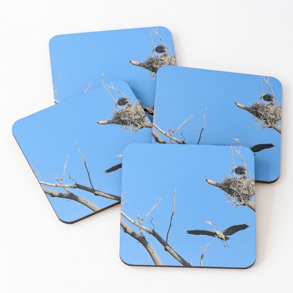 Item preview, Herons on Nests 4 - UW Arboretum, Madison, WI designed and sold by StevenRalserPhoto.