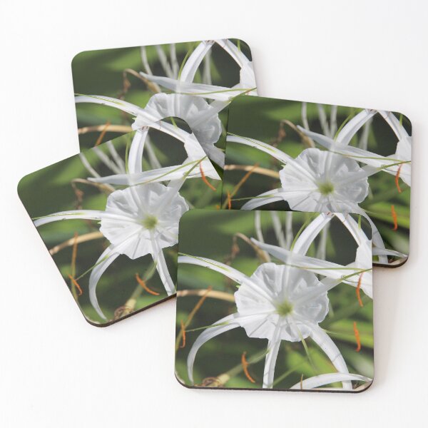 Item preview, White subtropical closed sand daffodil designed and sold by EstelleRossetti.
