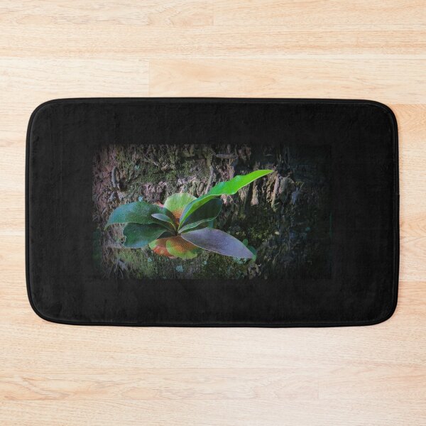 Item preview, Hangers On designed and sold by Genevieve Hanlon Art and Photography.