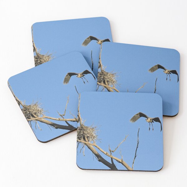 Item preview, Herons on Nests 5 - UW Arboretum, Madison, WI designed and sold by StevenRalserPhoto.