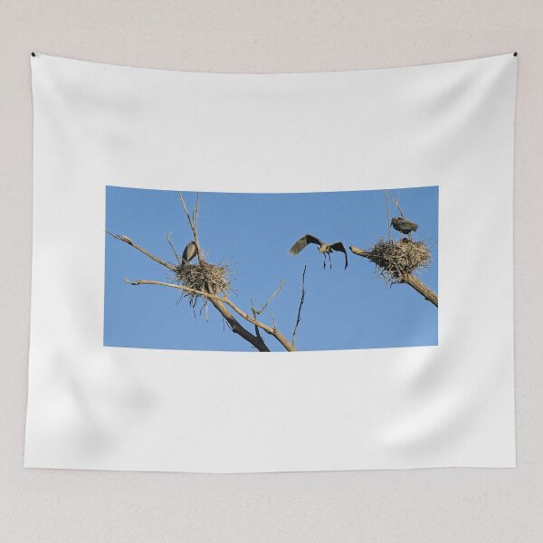 Item preview, Herons on Nests 5 - UW Arboretum, Madison, WI designed and sold by StevenRalserPhoto.