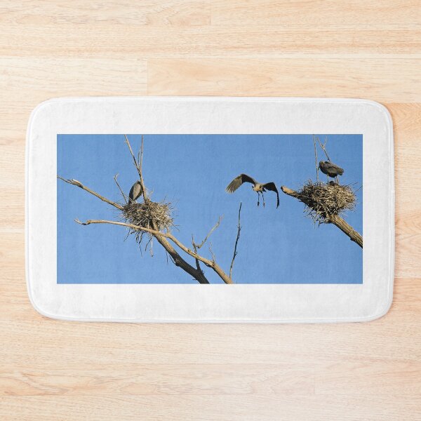 Item preview, Herons on Nests 5 - UW Arboretum, Madison, WI designed and sold by StevenRalserPhoto.