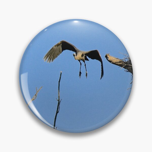 Item preview, Herons on Nests 5 - UW Arboretum, Madison, WI designed and sold by StevenRalserPhoto.