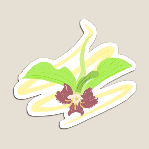 Aperçu de l'œuvre Motif floral Trillium de Catesby créée et vendue par Alli ML.