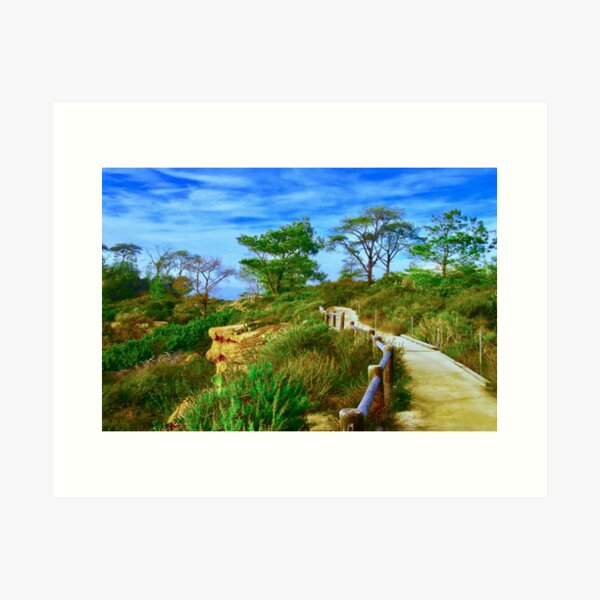 Item preview, A Stroll Through Torrey Pines designed and sold by Barbara  Brown.